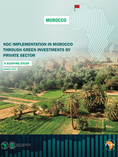 Morocco Scoping Study